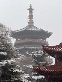 雪落濟南，邂逅古韻泉城的浪漫新春！