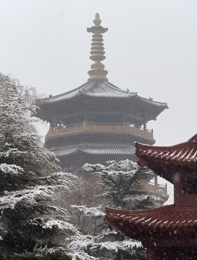 雪落濟南，邂逅古韻泉城的浪漫新春！