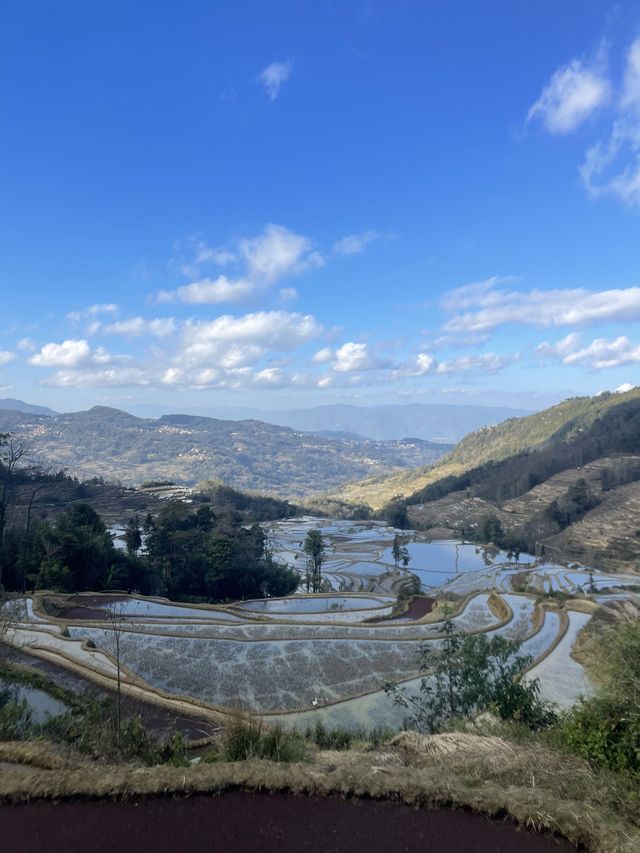 3日探秘元陽 古鎮古村不迷路