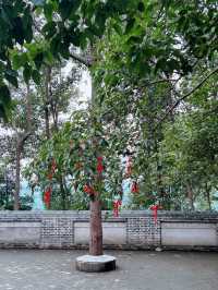 洛陽龍門石窟-白馬寺親子遊超全攻略必收藏