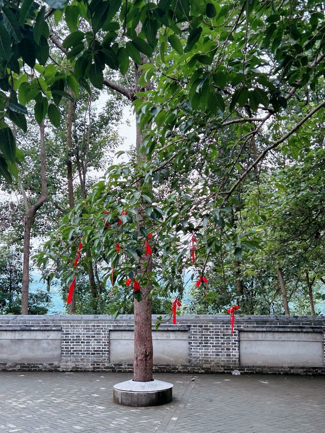 洛陽龍門石窟-白馬寺親子遊超全攻略必收藏