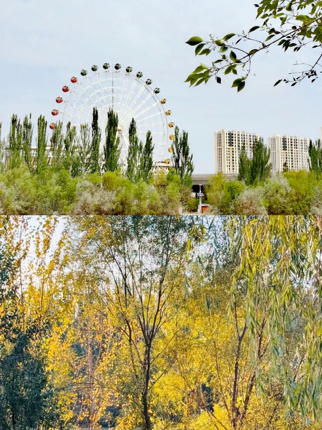 《黃河河套文化旅遊區：巴彥淖爾的寶藏之旅》