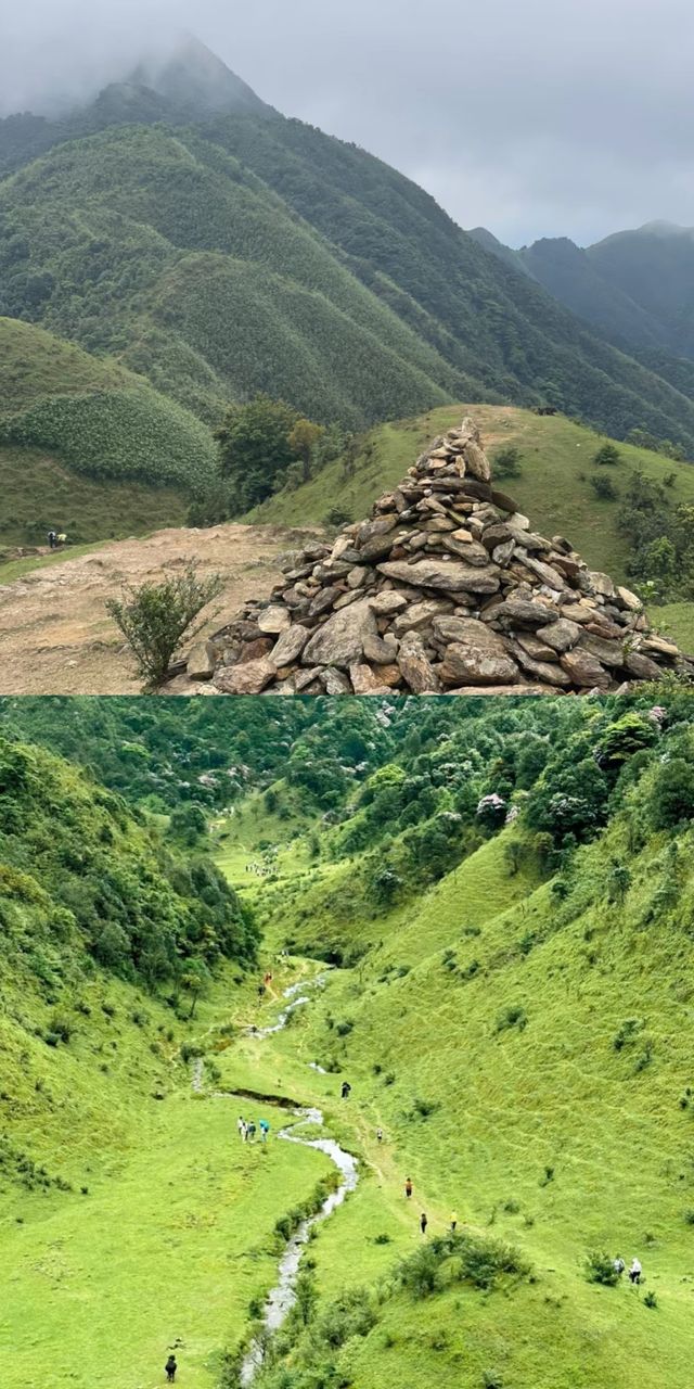 下個月，廣東這片高山草甸將被杜鵑花海淹沒！