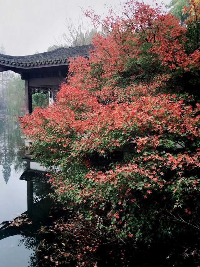 杭州市區旅遊攻略，當然要收藏