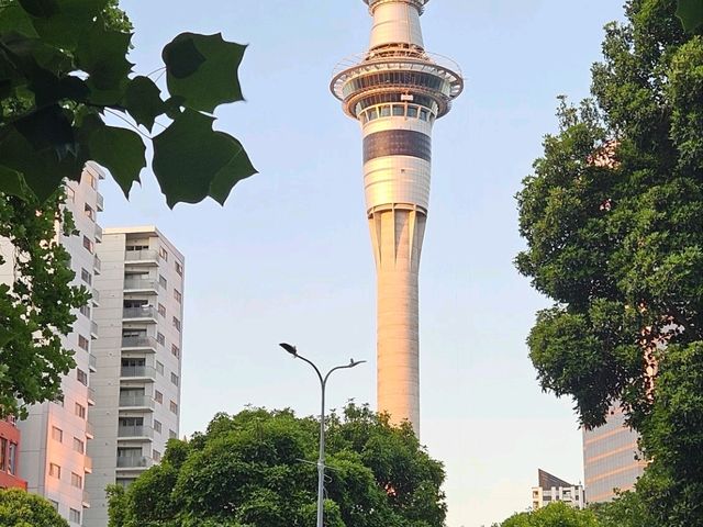 3 Days in Auckland 