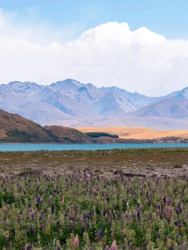 Wonderful 😘 Lake Tekapo