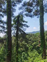 遊遍大好河山山川篇－衡山旅遊攻略