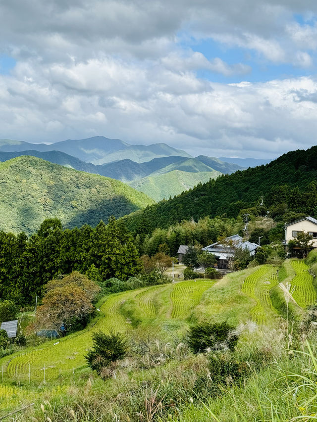 熊野古道徒步｜總有人想從白濱出發吧？