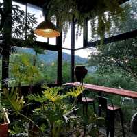 士林秘境：藏於山間的《野人花園》咖啡館🌳