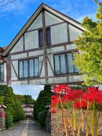 活火山下的溫泉仙境——日本雲仙市