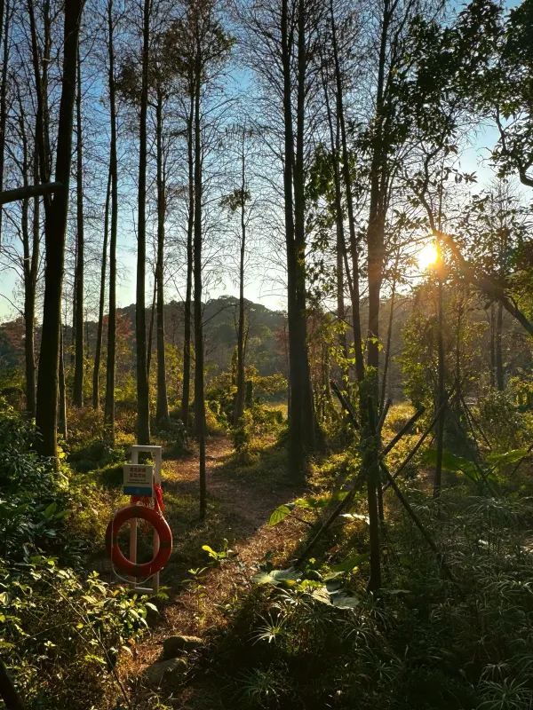 📍深圳｜恩上濕地公園👉週末吸氧好去處