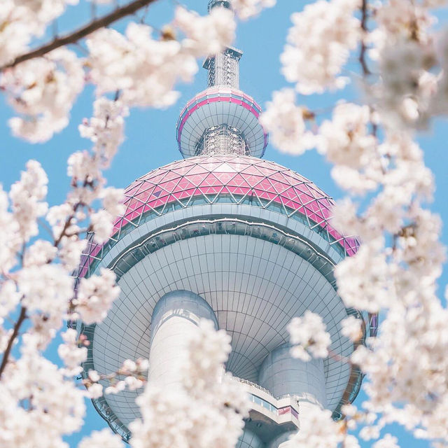 東方明珠｜四月花神🌸