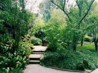 Roaming Chengdu: City Channels