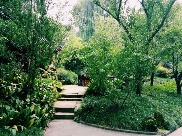 Roaming Chengdu: City Channels