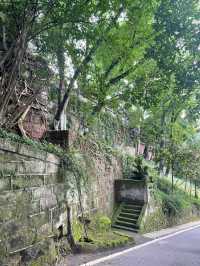 長江三峽－重慶老年人暢遊攻略 輕鬆玩轉美景