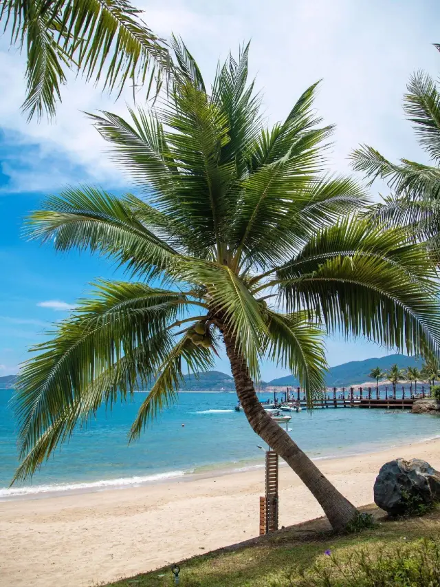 Tomb-Sweeping Holiday: Explore Haikou and Wenchang!