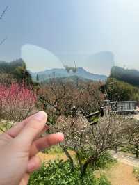 蕭紹古道