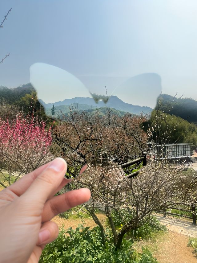 蕭紹古道