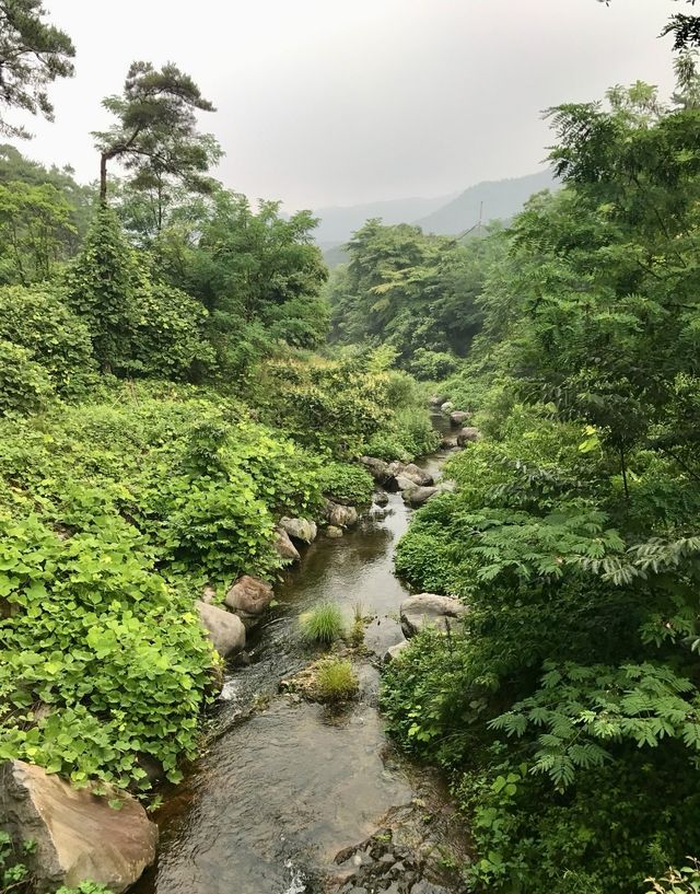 光州無等山國立公園藏着整個韓國的浪漫故事