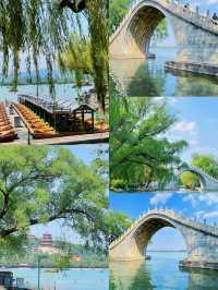 不是外國去不起，而是洞頭更具性價比