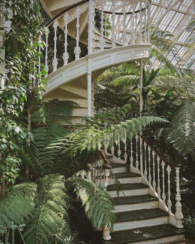 Discover the Royal Botanic Gardens, Kew