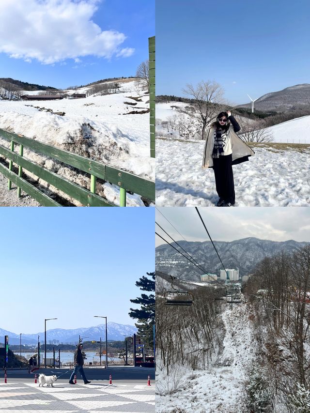 韓國洪川郡：小眾寶藏旅行地