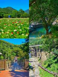 韓國洪川郡：小眾寶藏旅行地