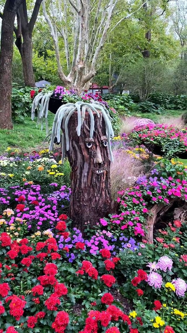 魔都「莫奈花園」—共青森林公園這片秘境，美到犯規！