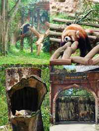 誰懂！在茂物市動物園開啟奇妙動物狂歡