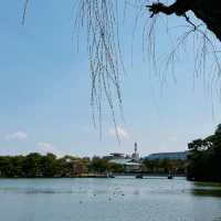 福岡大濠公園，被幸福擊中💕