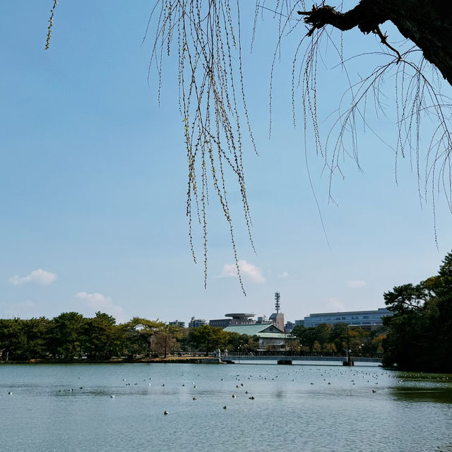 福岡大濠公園，被幸福擊中💕