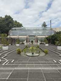 One Of The Best Free Things In Auckland, The Stunning Winter Gardens 