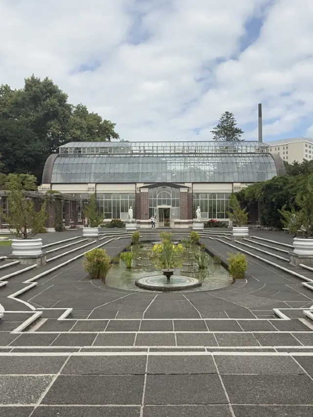 One Of The Best Free Things In Auckland, The Stunning Winter Gardens 