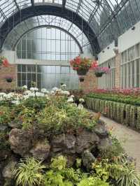 One Of The Best Free Things In Auckland, The Stunning Winter Gardens 