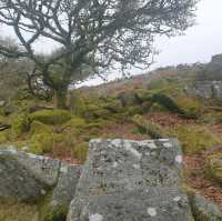 Dartmoor National Park