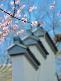 北京都能拍出江南大片丨紫竹院友賢山館