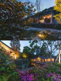 清明私藏路線｜採春茶、住古院、訪古鎮