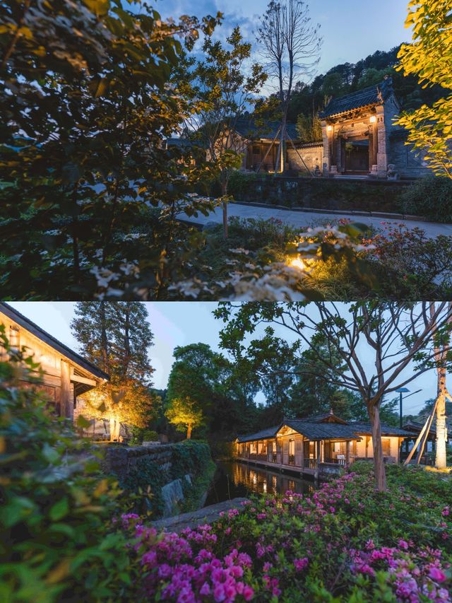 清明私藏路線｜採春茶、住古院、訪古鎮