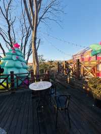 Winter JaZz town Qingdao 