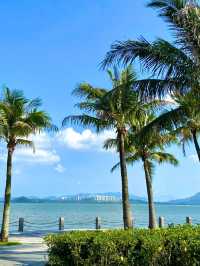 紅樹林海濱公園，超級愜意的深圳海邊綠洲✨