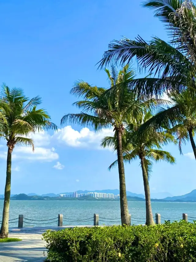 紅樹林海濱公園，超級愜意的深圳海邊綠洲✨