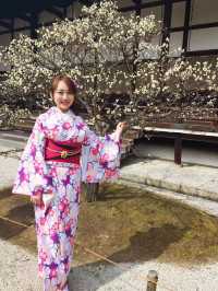 日本賞櫻🌸多條路線攻略請收好
