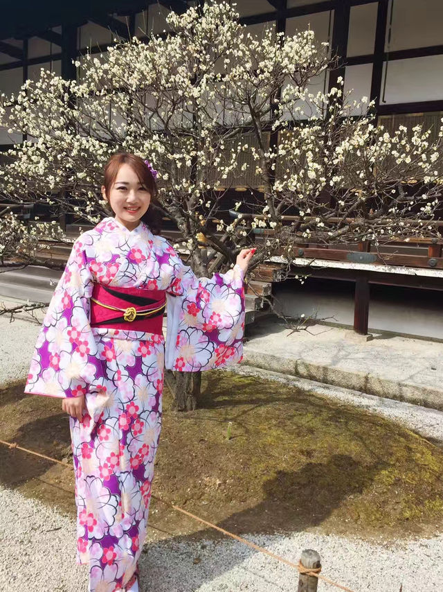 日本賞櫻🌸多條路線攻略請收好