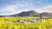 咸寧陽春三月賞油菜花