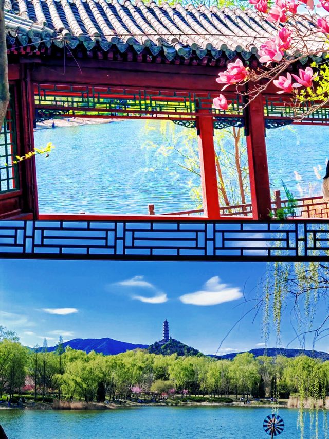 北塢公園：免費開放！騎行、釣魚、遛娃，京西寶藏綠肺