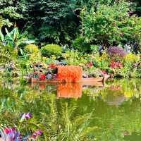 深圳仙湖植物園，陷入大自然的Love