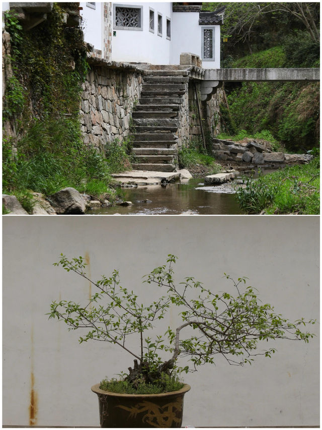宣城之旅已結束，真心不建議4月去
