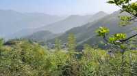 婁底|紫鵲界梯田|旅遊攻略齊全