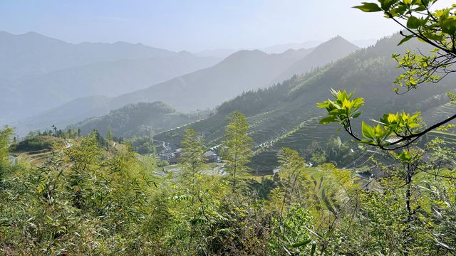 婁底|紫鵲界梯田|旅遊攻略齊全