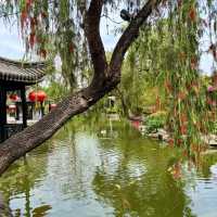 中山詹園｜嶺南風情園林漫步🦢